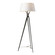 Tryst One Light Floor Lamp in Natural Iron (39|241102SKT2084SF2412)