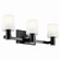 Adani Three Light Vanity in Black (12|55176BK)