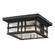Beacon Square Two Light Outdoor Ceiling Mount in Textured Black (12|49834BKT)
