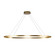 Ovale LED Linear Pendant in Brushed Gold (347|LP79153BG)
