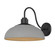 Levitt One Light Outdoor Wall Sconce in Natural Black (62|2866OWLNBNG)