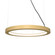 Frame LED Pendant in Organic Gold (486|1318LED49)