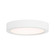 LED Flush Mount in White (51|633335WH)