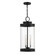 Englewood Three Light Outdoor Hanging Lantern in Matte Black (51|5901BK)