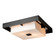 Shadow Box Two Light Outdoor Flush Mount in Oil Rubbed Bronze (39|363100SKT1480GG0784)