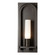 Triomphe One Light Outdoor Wall Sconce in Coastal Dark Smoke (39|302032SKT77GG0783)