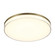 Flush Mount LED Flush Mount in Ashen Brass (7|7692787L)
