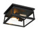 Isla Vista Two Light Outdoor Flush Mount in Coal (7|7321766A)
