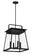 Isla Vista Four Light Outdoor Hanging Lantern in Coal (7|7321666A)