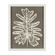 Paradise Leaf Wall Art in Off White (45|S003612127)