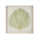 Fan Palm Shadowbox Wall Art in Natural (45|H003611941)