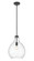 Bon Air One Light Pendant in Matte Black (224|496P13MB)
