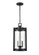 Ellway Two Light Outdoor Hanging Lantern in Textured Black (59|91532TBK)