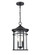 Namath Two Light Outdoor Hanging Lantern in Textured Black (59|91342TBK)