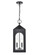 Bratton Two Light Outdoor Hanging Lantern in Powder Coated Black (59|7832PBK)