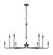 Marceline Ten Light Chandelier in Matte Black (59|12510MB)