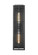 Jaxson Two Light Outdoor Wall Sconce in Powder Coated Black (59|10822PBK)