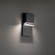 Draped LED Outdoor Wall Sconce in Black (281|WSW6041240BK)
