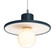 Radiance One Light Pendant in Matte White with Champagne Gold (102|CER6325MTGDDBRZRIGID)