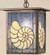 Seashell One Light Pendant in Antique Copper (57|47764)