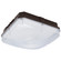 LED Field Selectable Canopy Fixture in Bronze (72|65981)