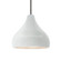 Radiance One Light Pendant in Gloss White (outside and inside of fixture) (102|CER6563WTWTMBLKWTCD)