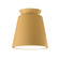 Radiance One Light Outdoor Flush Mount in Muted Yellow (102|CER6170WMYLW)