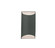 Ambiance LED Outdoor Wall Sconce in Pewter Green (102|CER5750WPWGN)