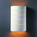 Ambiance One Light Outdoor Wall Sconce in Muted Yellow (102|CER2285WMYLW)