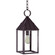 Winnicutt One Light Hanging Lantern in Dark Brass (196|11942DBMEDSMG)