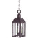 Nottingham Two Light Hanging Lantern in Dark Brass (196|11732DBLT2CLR)