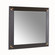 Calpini Mirror in Sable/Antique Brass/Plain (314|WMI42)