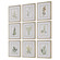 Botanical Flowers Framed Prints, S/9 in Champagne Gold (52|32339)