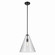 Everly One Light Pendant in Black (12|42200BKCS)