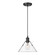 Orwell One Light Pendant in Matte Black (62|3306MBLKCLR)