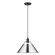 Orwell One Light Pendant in Matte Black (62|3306LBLKCH)