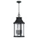 Bridger Four Light Outdoor Hanging Lantern in Black (65|953644BK)