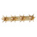 Paloma Four Light Wall Sconce in Gold Leaf (16|2887GL) Paloma Four Light Wall Sconce in Gold Leaf (16|2887GL)