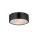 Tommy Two Light Surface Mount in Black (16|10494WTBK)