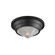 Hargreaves One Light Flush Mount in Black (16|10390PRBK)
