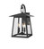 Rainer Three Light Outdoor Wall Light in Black (224|5015MBK)