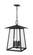 Rainer Six Light Outdoor Chain Mount Ceiling Fixture in Black (224|5015CHXXLBK)