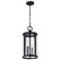 Broadstone Two Light Hanging Lantern in Matte Black (72|608115)
