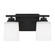 Vinton Two Light Wall / Bath Sconce in Midnight Black (1|4420902112)