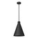 Axston One Light Outdoor Lantern in Textured Black (59|86104TBK)