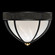 Mirage Three Light Flush Mount in Black Iron/Brass/Black Knight (48|100042113)