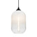Besa Omega 12 Outdoor Pendant Pendant in Black (74|OPOMEGA12WHEDILBK)