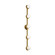 Nodes Five Light Vanity in Burnished Brass (454|KWL1165BBS)