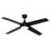 Hamlin 52''Ceiling Fan in Black (63|F0125)