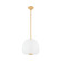 Scranton LED Pendant in Aged Brass (70|3015AGB)